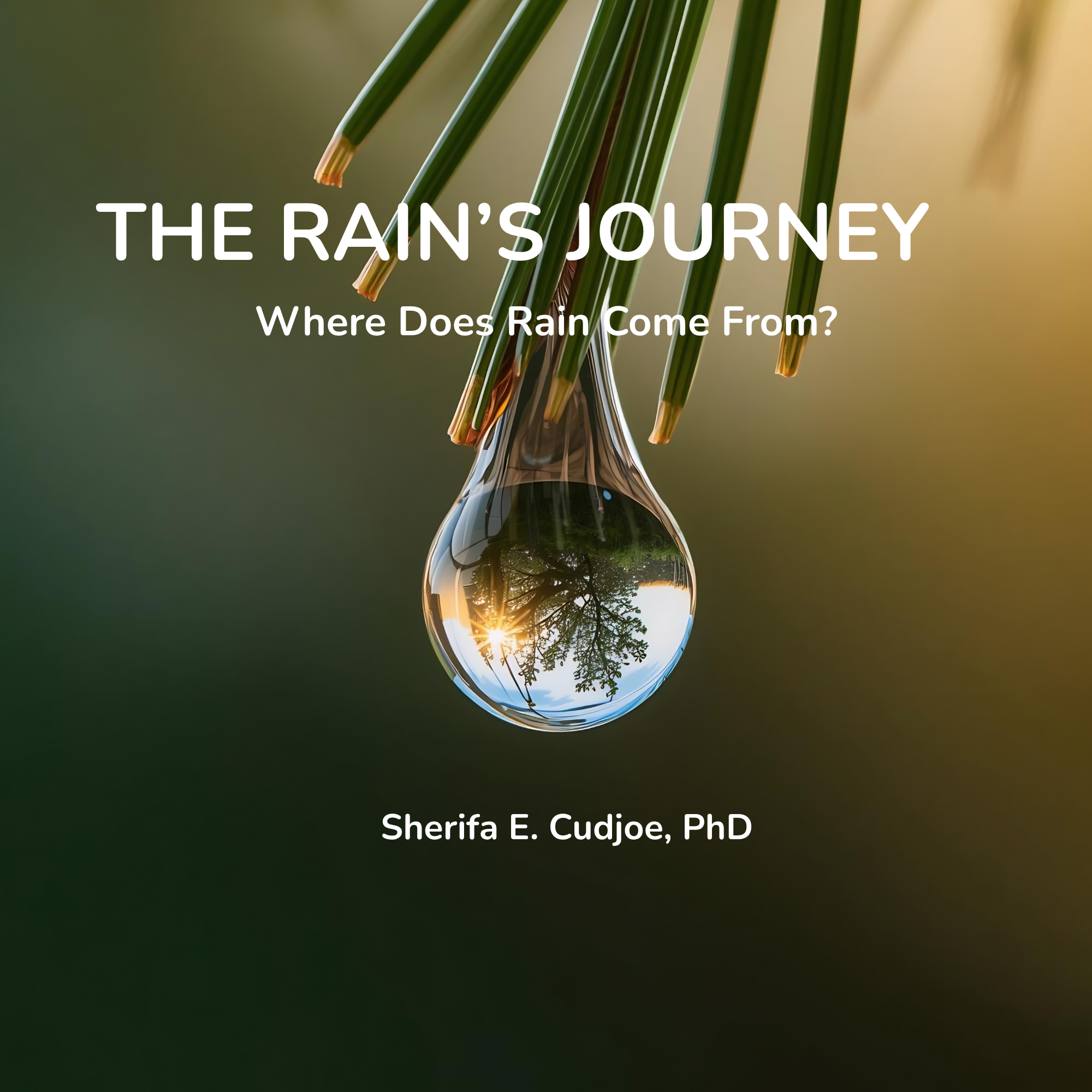 Water droplet on a pine needle with text overlay 'The Rain's Journey: Where Does Rain Come From?' by Sherifa E. Cudjoe, PhD.